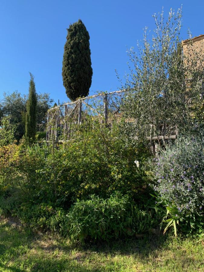 Podere Casallorto ヴォルテッラ エクステリア 写真