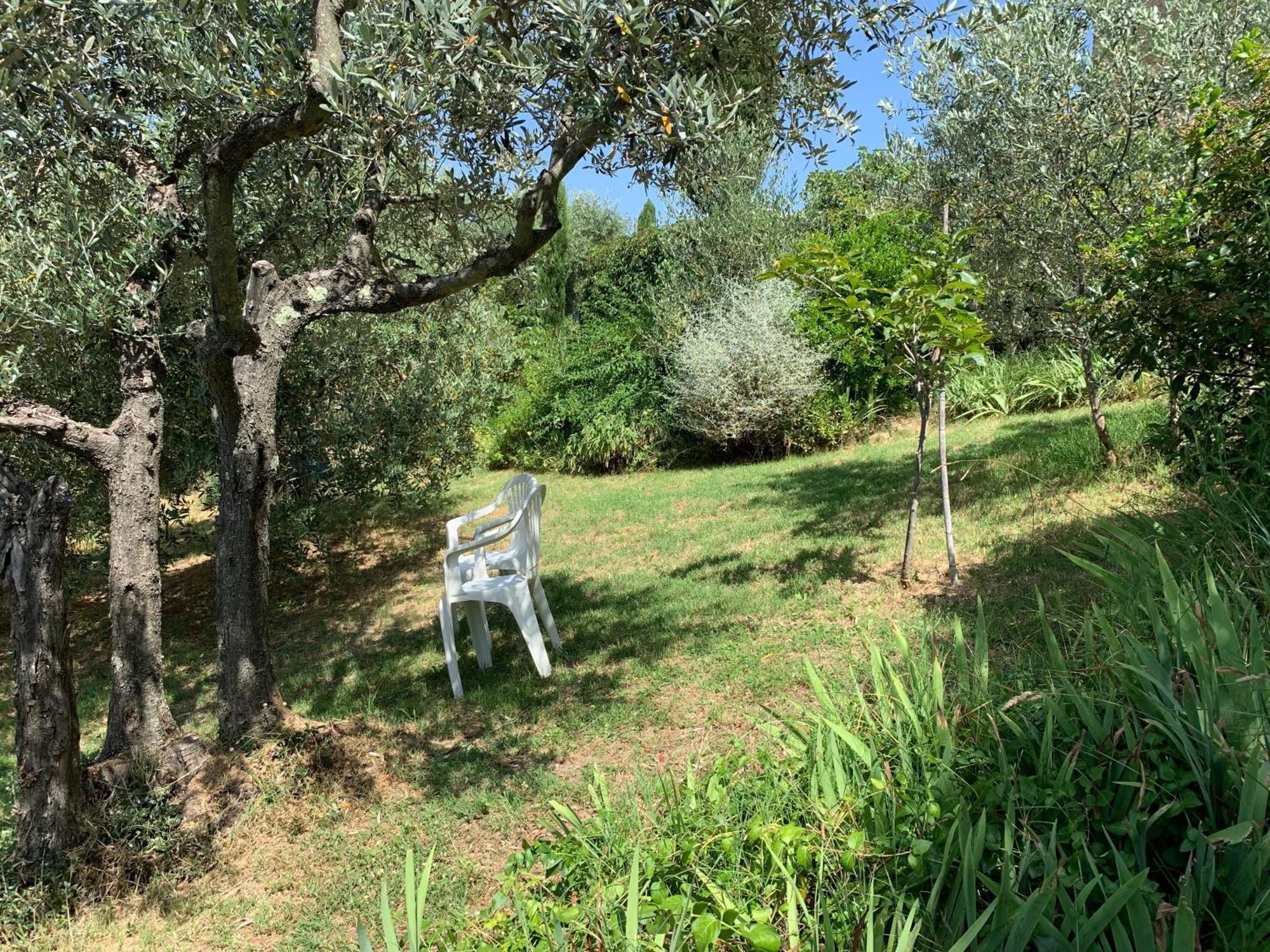 Podere Casallorto ヴォルテッラ エクステリア 写真