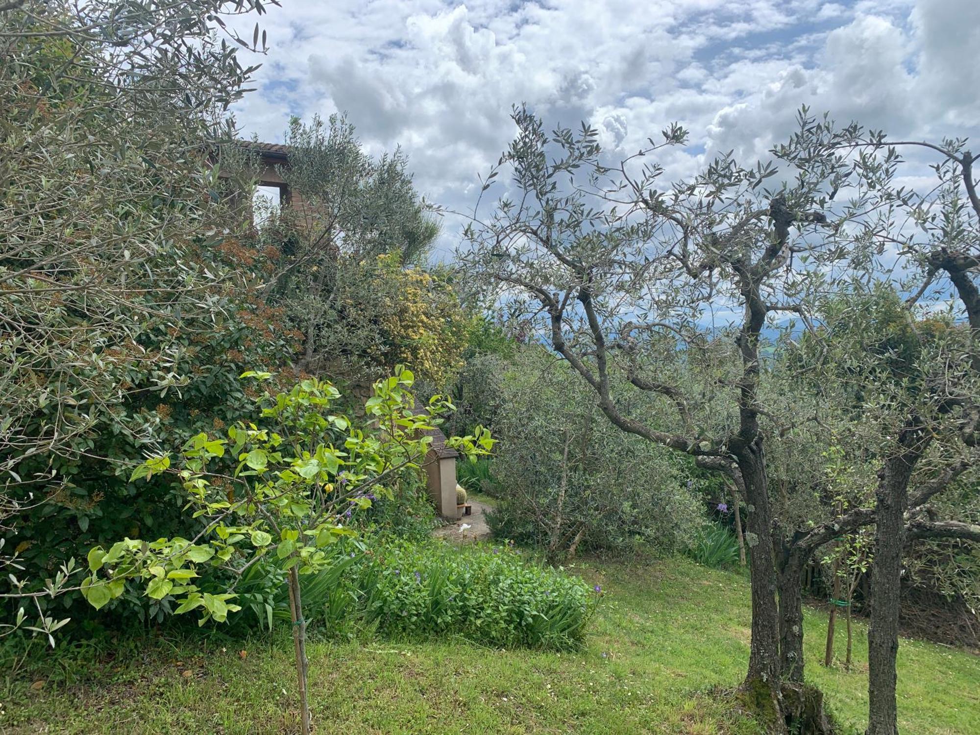 Podere Casallorto ヴォルテッラ エクステリア 写真